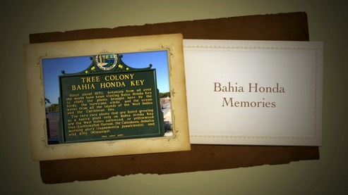 bahia-honda-memories-large