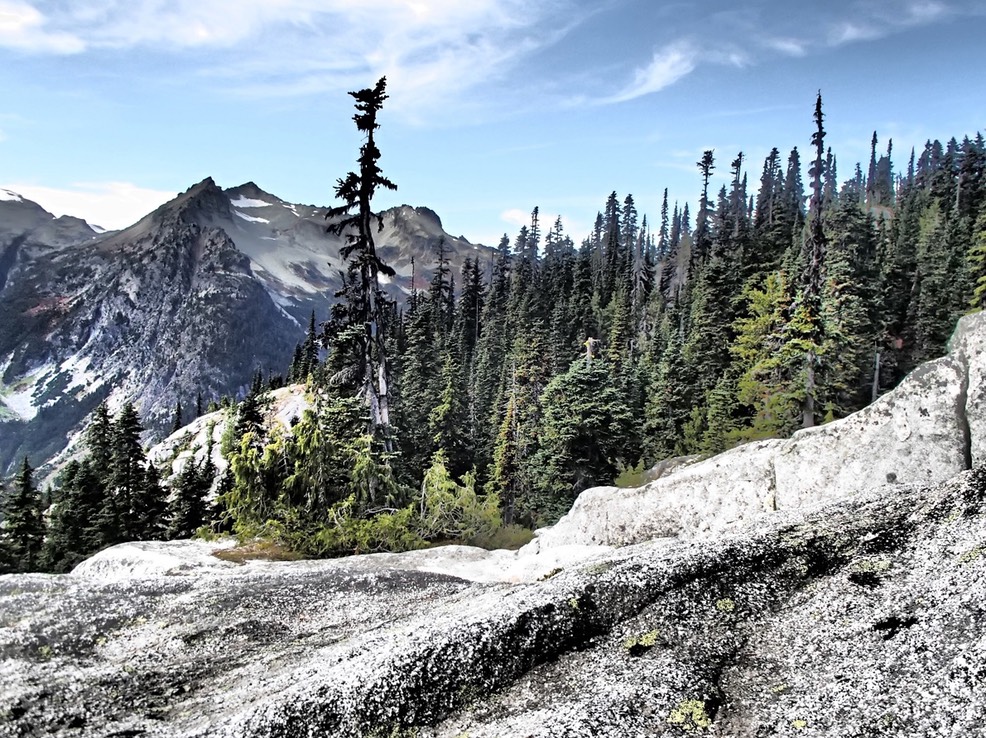 Central Cascades