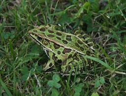 dsc_7267_1jpg_29737800300_o