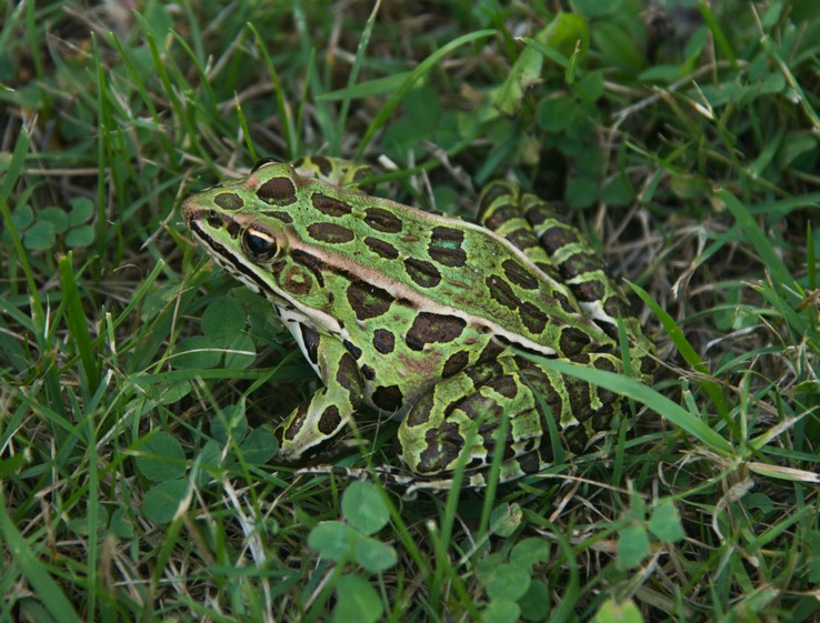 dsc_7267_1jpg_29737800300_o