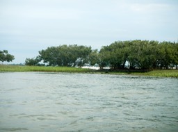Shell Mound to Deer Island - 07