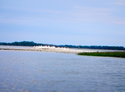 Shell Mound to Deer Island - 08