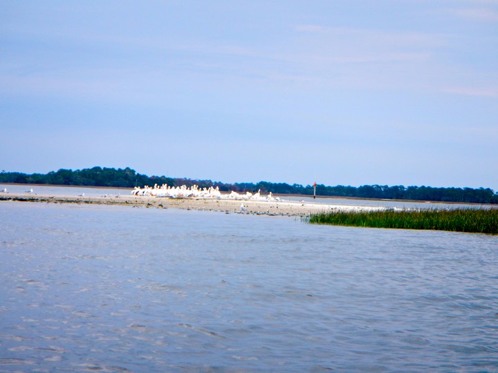 Shell Mound to Deer Island - 08