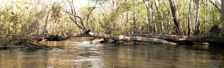DSCN0757