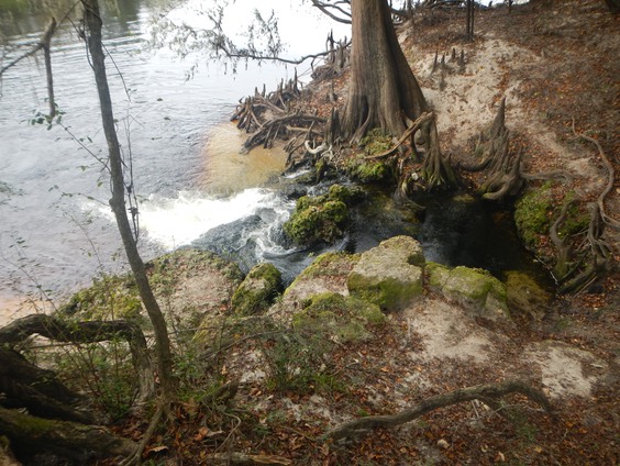 Suwannee River SP 10/27/2012 - 42