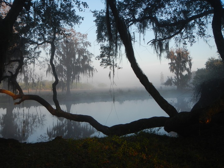 Arbuckle Creek 1/27/13 - 06