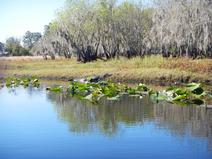 Arbuckle Creek 1/27/13 - 22