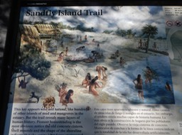 Sandfly Key 2/17/13 - 02