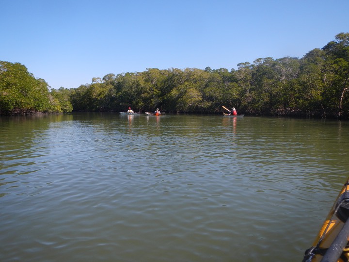 Fakahatchee Key 2/20/13 - 02