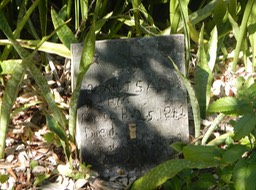 Fakahatchee Key 2/20/13 - 07