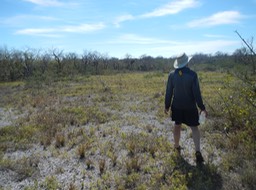 Fakahatchee Key 2/20/13 - 19