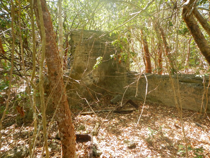 Fakahatchee Key 2/20/13 - 25