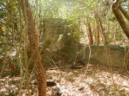 Fakahatchee Key 2/20/13 - 25