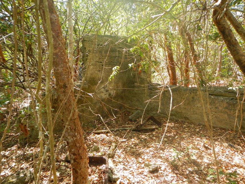 Fakahatchee Key 2/20/13 - 25