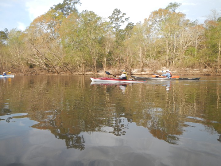 Ochlockonee River 3/17/13 - 07