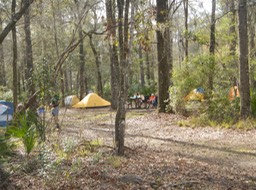 Ochlockonee River 3/18/13 - 18