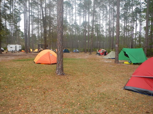 Ochlockonee River 3/20/13 - 18