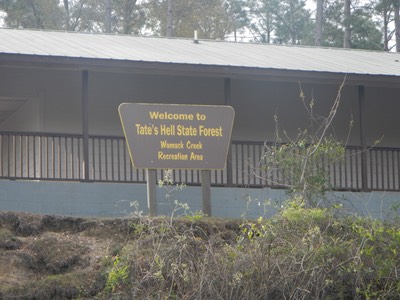 Ochlockonee River 3/21/13 - 04