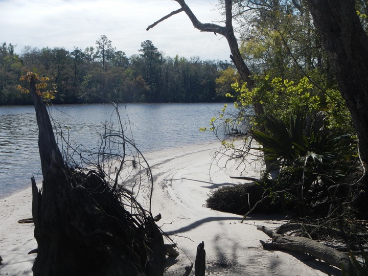 Ochlockonee River 3/21/13 - 20