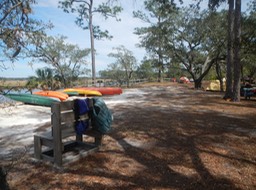 Ochlockonee River 3/21/13 - 26