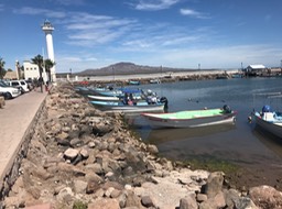 IMG_4284