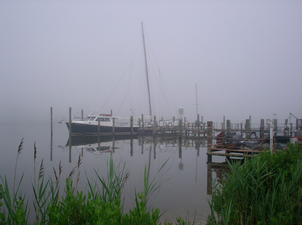 Paddle to the Bay ©DYackel 2008 - 164