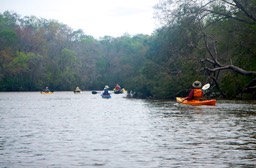 Ochlockonee River 3/20/13 - 15