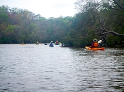Ochlockonee River 3/20/13 - 15 - Version 2