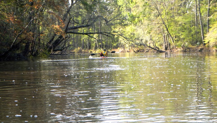 Ochlockonee River 3/19/13 - 09